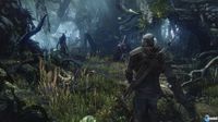 The Witcher 3: Wild Hunt se muestra en imágenes e ilustraciones