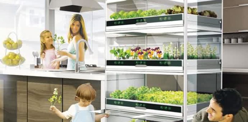 Nano Garden el concepto que te permite hacer crecer vegetales en tu cocina