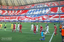 PES 2014 tifo