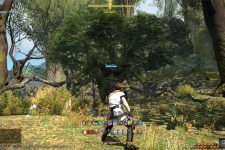 Final Fantasy XIV PS4