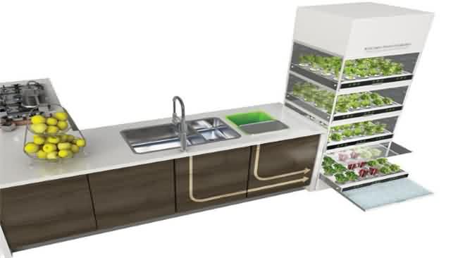 Concepto nano garden
