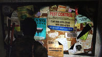 Naughty Dog se disculpa por incluir números de líneas calientes reales en The Last of Us