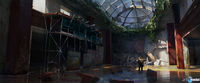 Nuevas ilustraciones de The Last of Us