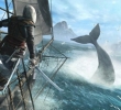 assassins-creed-4-black-flag-ballena