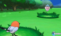 Nuevas imágenes, detalles y vídeo de Pokémon X/Y