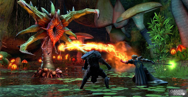 The Elder Scrolls Online Wii U
