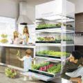 Nano Garden el concepto que te permite hacer crecer vegetales en tu cocina