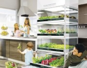 Nano Garden el concepto que te permite hacer crecer vegetales en tu cocina