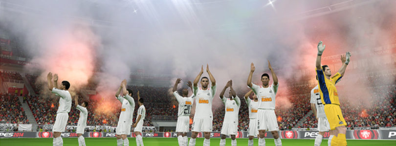 PES 2014 grada